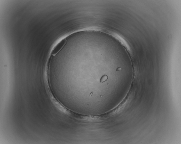 X0000111630952200907241047