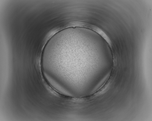 X0000111630954200907241048