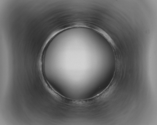 X0000111630955200907241048