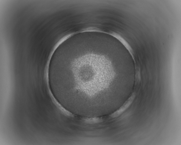 X0000111630957200907241048