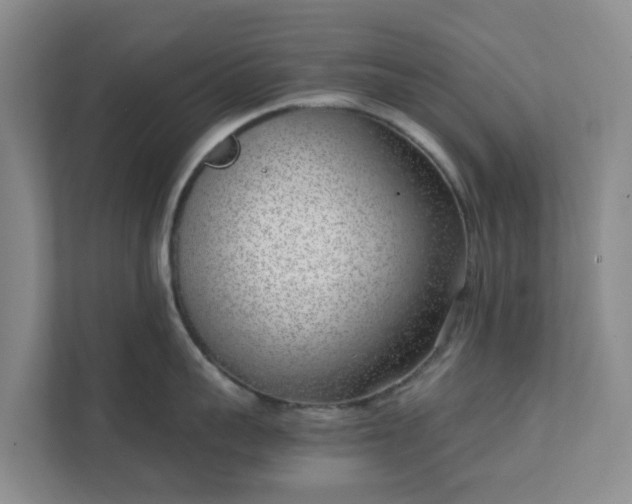 X0000111630959200907241048