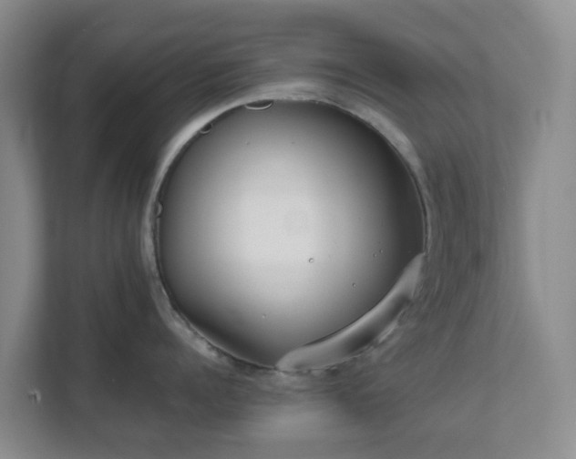 X0000111630960200907241048