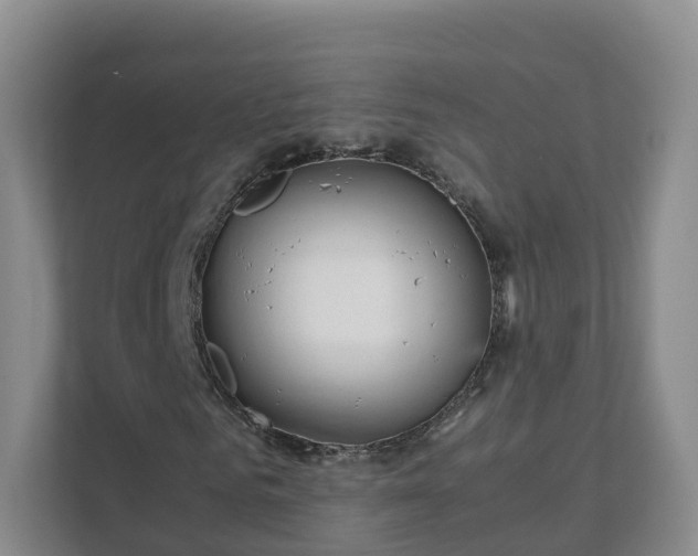 X0000111630961200907241047