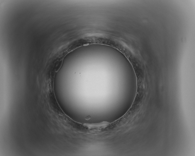 X0000111630965200907241047