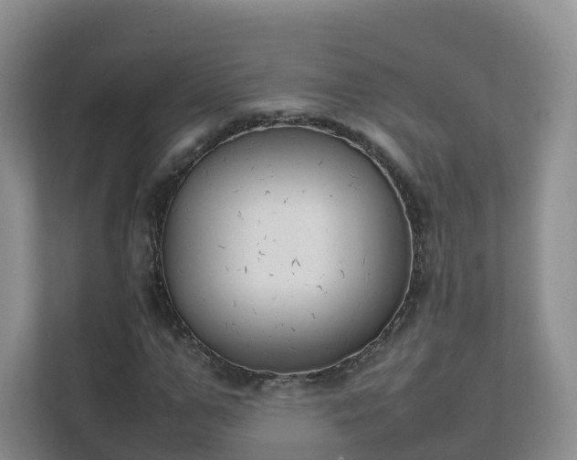 X0000111630967200907241047