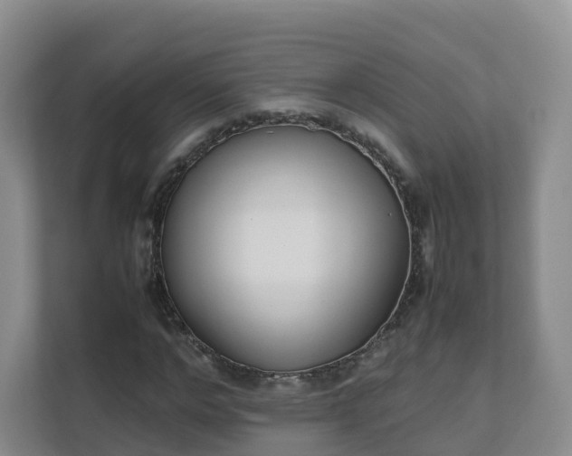 X0000111630968200907241047