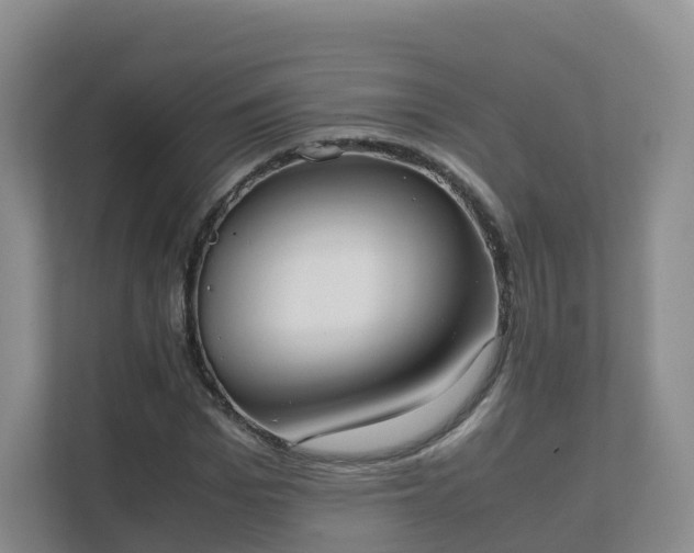 X0000111630969200907241047