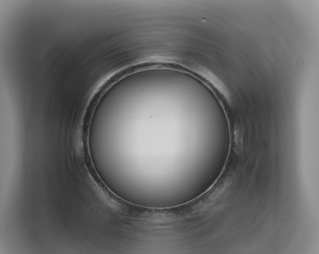 X0000111630972200907241047