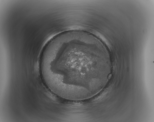 X0000111630975200907241047