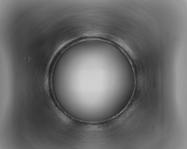 X0000111630976200907241047