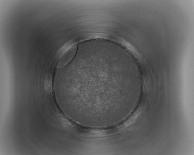 X0000111630977200907241047