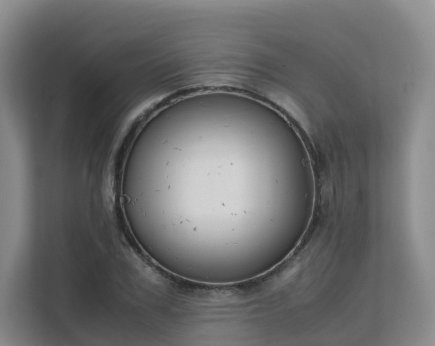 X0000111630979200907241047