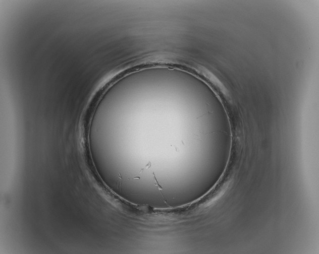 X0000111630981200907241047