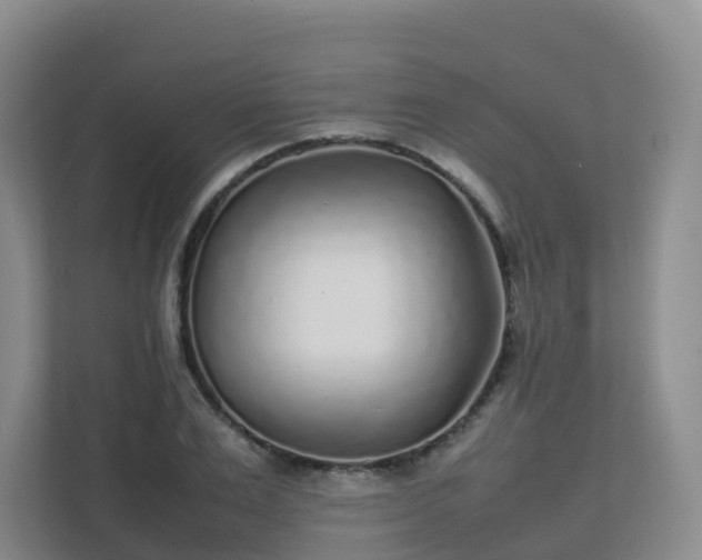 X0000111630983200907241047