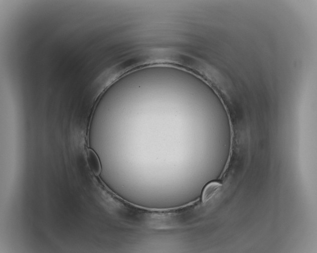 X0000111630985200907241047