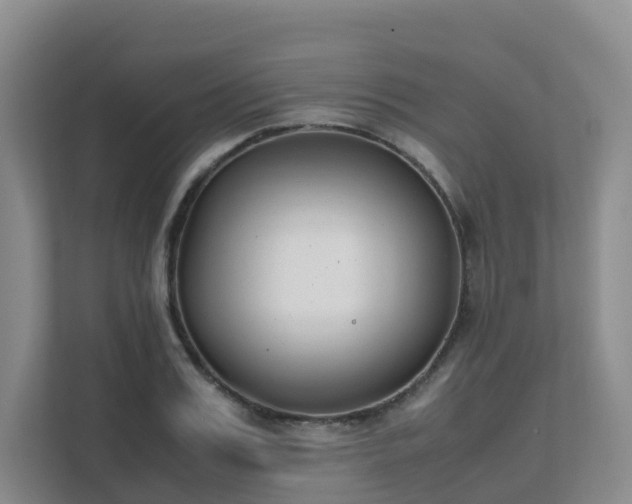 X0000111630987200907241047