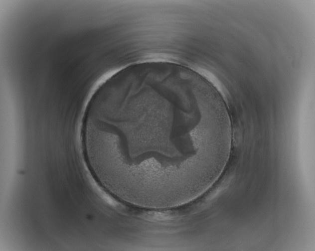 X0000111630995200907241047