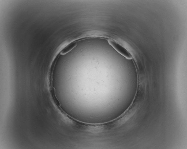 X0000111630997200907241046