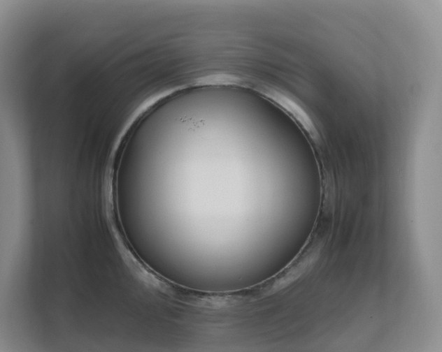 X0000111631000200907241046