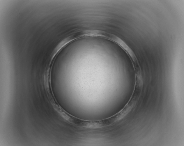 X0000111631002200907241046