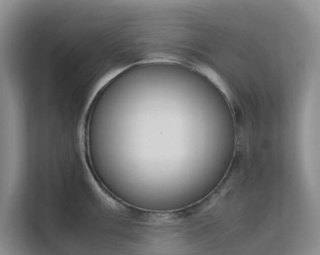 X0000111631003200907241046