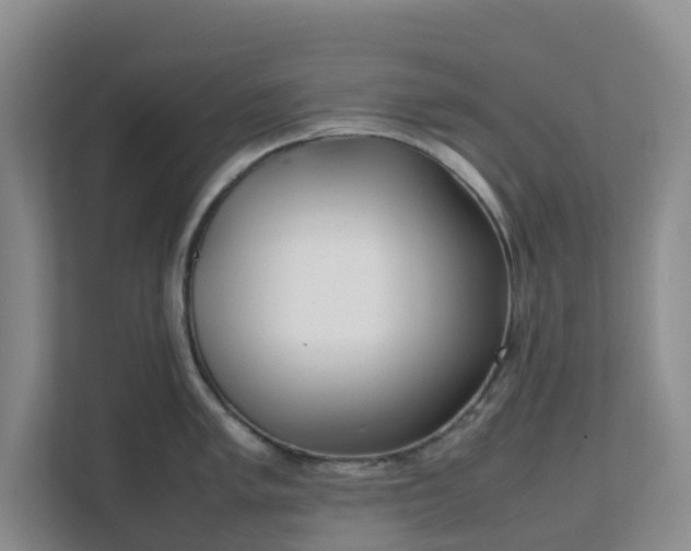 X0000111631005200907241046