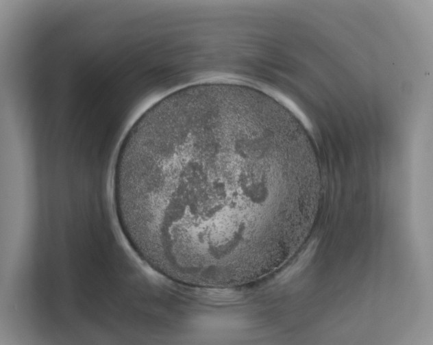 X0000111631007200907241046