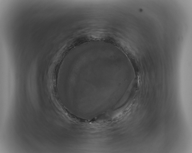 X0000111631009200907241046