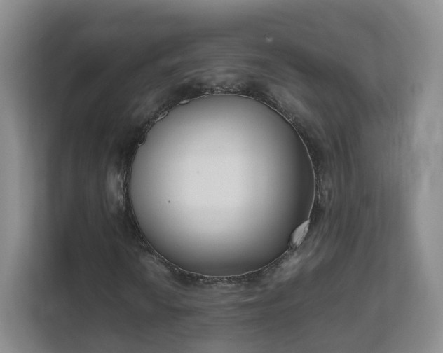 X0000111631010200907241046