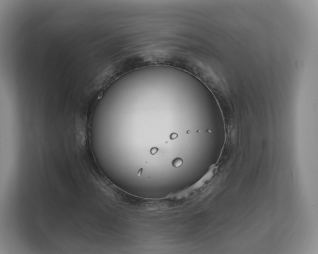 X0000111631012200907241046