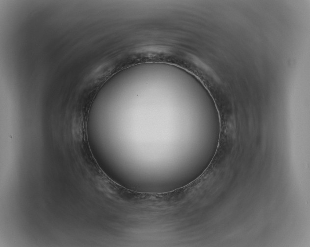 X0000111631014200907241046