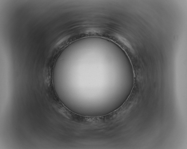 X0000111631015200907241046