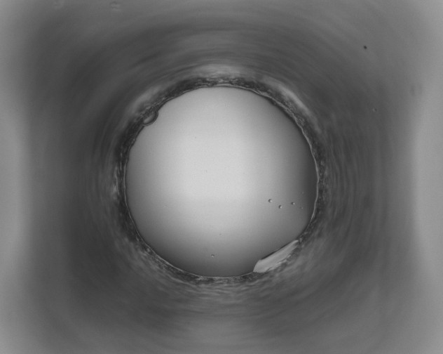 X0000111631016200907241046