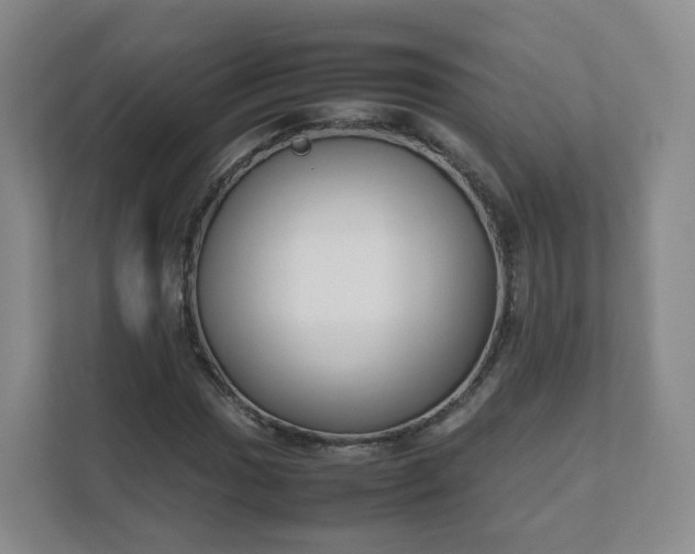 X0000111631017200907241046