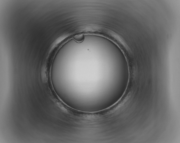 X0000111631018200907241046