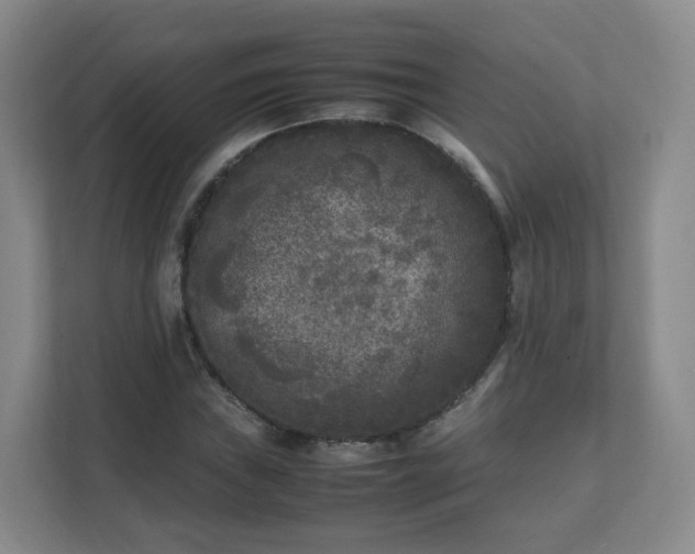 X0000111631019200907241046