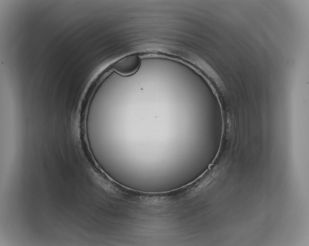 X0000111631020200907241046