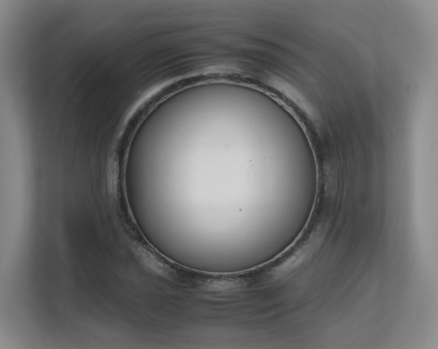 X0000111631021200907241046