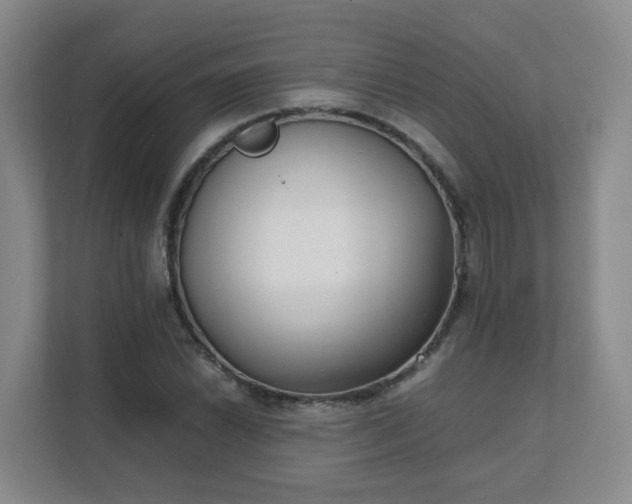 X0000111631022200907241046