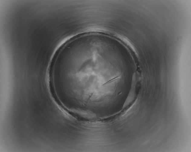 X0000111631024200907241046