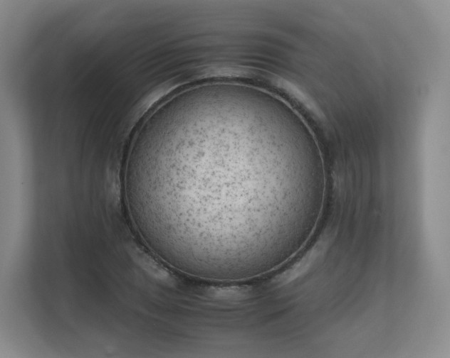 X0000111631025200907241046