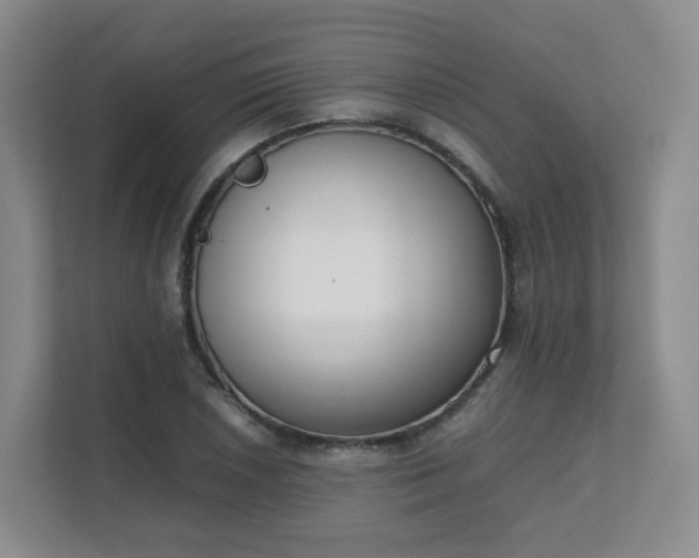 X0000111631026200907241046