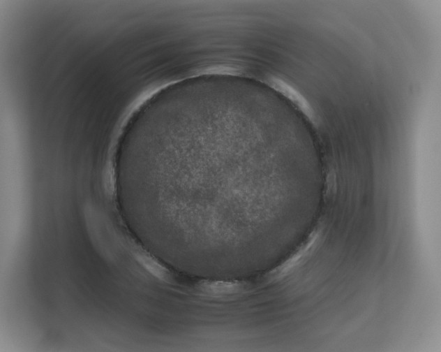 X0000111631027200907241046