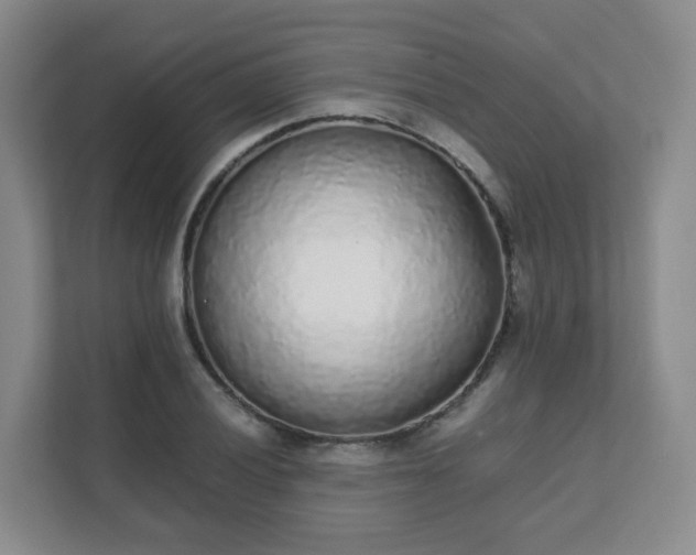 X0000111631028200907241046