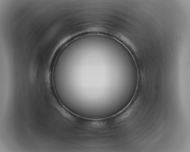 X0000111631029200907241046