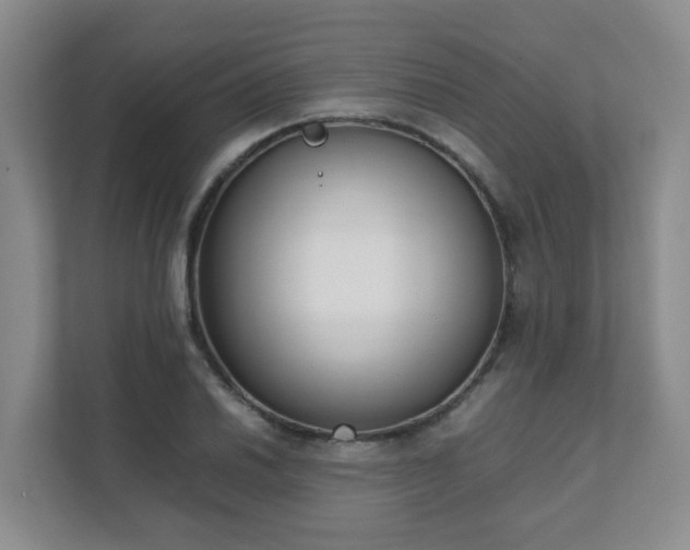 X0000111631030200907241046