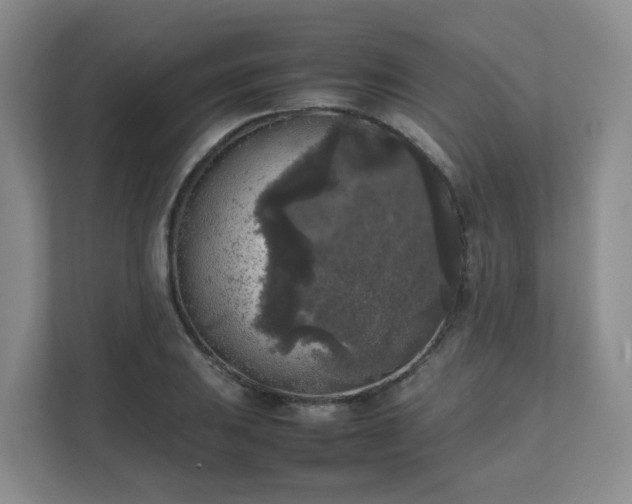 X0000111631031200907241046