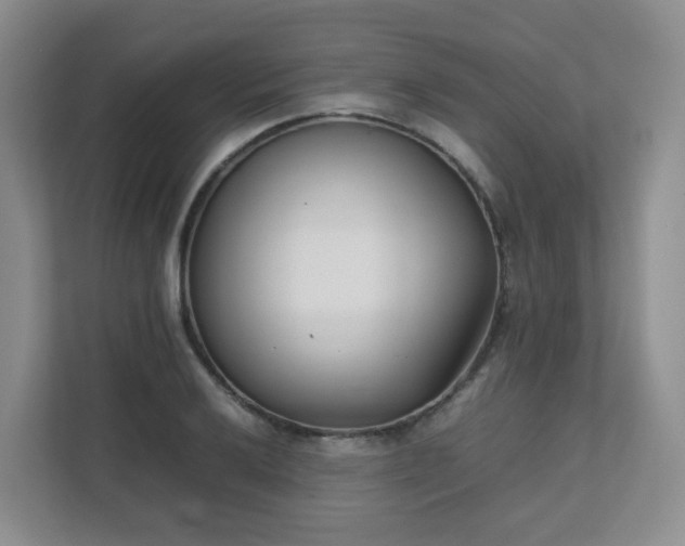 X0000111631032200907241046