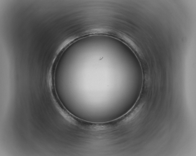 X0000111631034200907241046