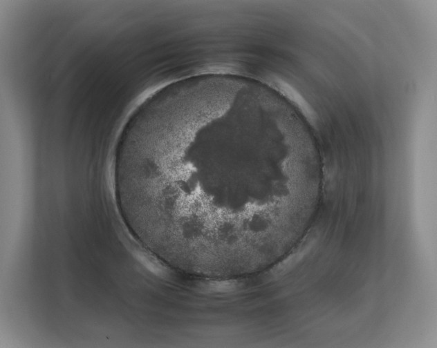 X0000111631035200907241046